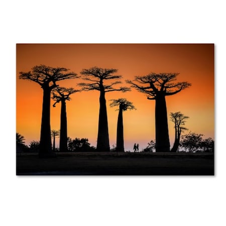 Trademark Fine Art Raymond Ren Rong 'Sunset In Morondava' Canvas Art, 16x24 1X01354-C1624GG